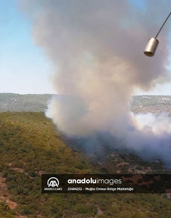 20210902_2_49865047_68414989_Preview