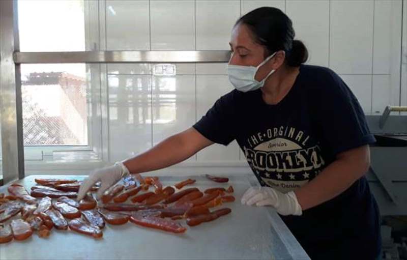 Muğla’da Su Ürünleri İhracatının 500 Milyon Doları Aşması Bekleniyor…