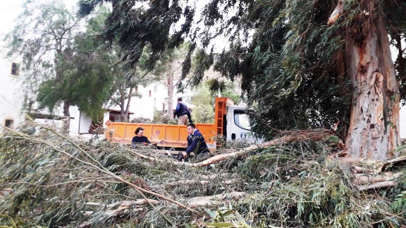 Fırtına Da Zarar Gören Ağaçlara Müdahale Edildi…