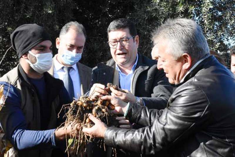 20211222_2_51422099_71855317_Thumb