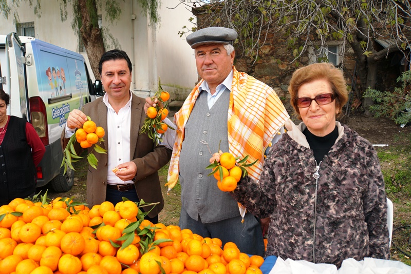 BODRUM MANDALİNASI TÜM TÜRKİYEDE (3)