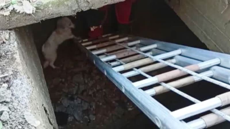 20220104_3_51581497_72210339_Thumb