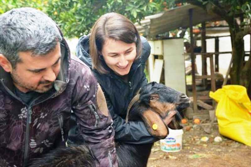 Destekleme Projesinden Faydalanan Kadın Çiftçinin Bir Yılda 20 Keçisi Oldu…