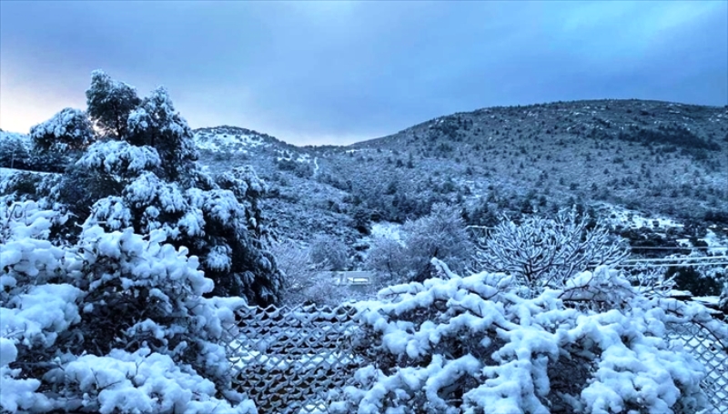 20220125_2_51885782_72951091_Thumb