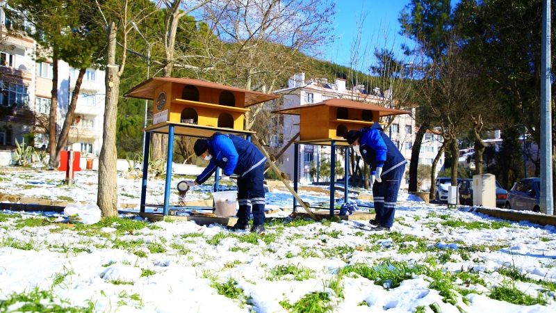 Büyükşehir, Sokak Hayvanlarının Yanında…