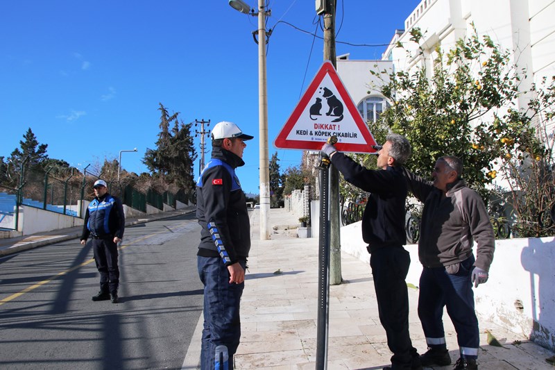 BODRUM BELEDİYESİ'NDEN CANLAR İÇİN TABELA (2)