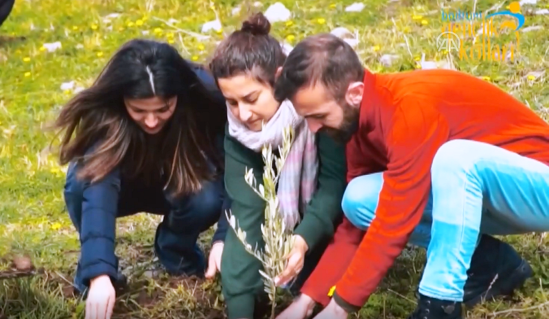Cumhurbaşkanının Doğum Günü Dolayısıyla 68 Zeytin Fidanı Diktiler..