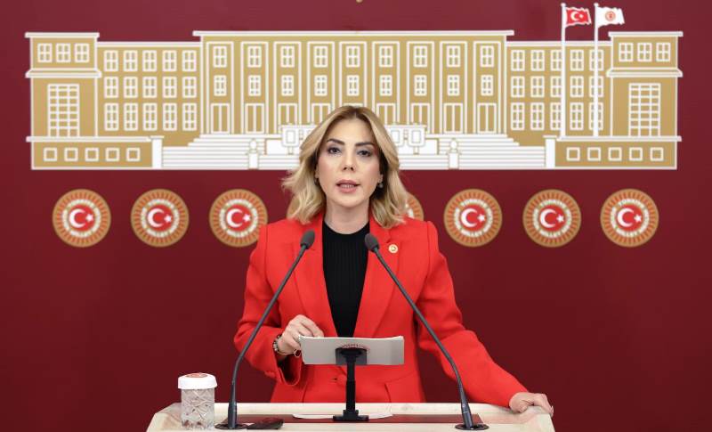 yelda-erol-gokcan-1