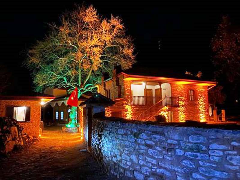 20220316_2_52639764_74740206_Thumb