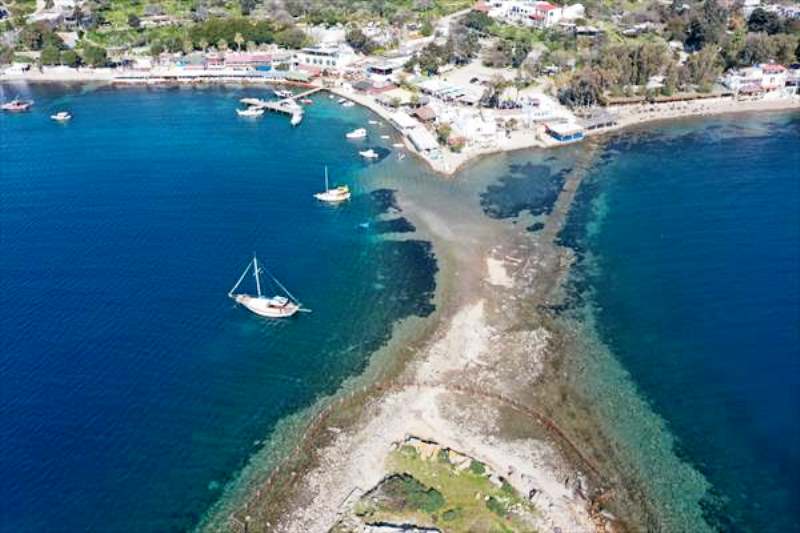 20220325_2_52789151_75102405_Thumb