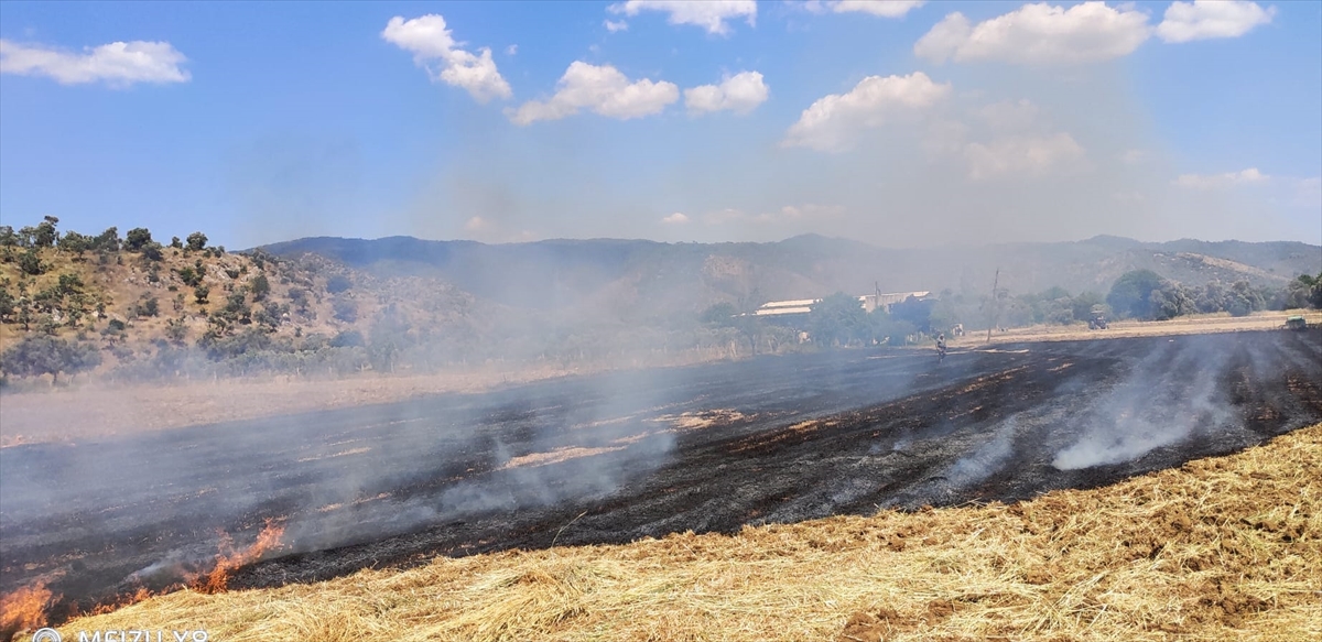 Milas’ta Tarım Arazisinde Çıkan Yangın Söndürüldü…