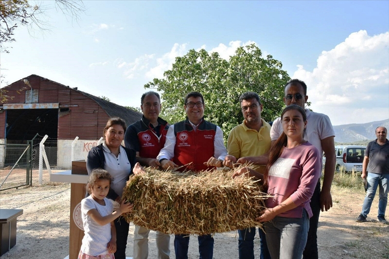 AA-20220517-27892864-27892859-MUGLADA_KADIN_URETICILERE_SAMAN_BALYASI_DAGITILDI