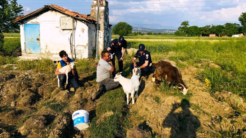 AA-20220517-27893183-27893182-MUGLADA_KUCUKBAS_HAYVAN_VE_TARLALARDAN_MALZEME_CALAN_KISI_GOZALTINA_ALINDI