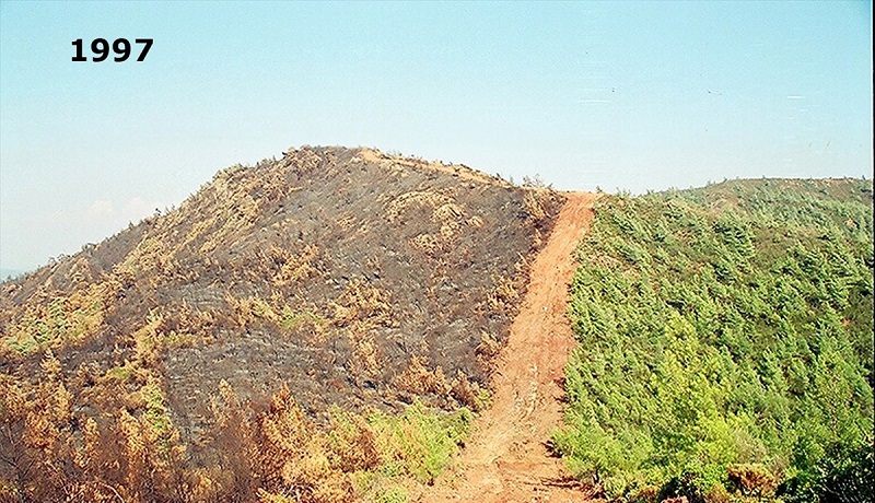 Alevlerin Önü 25 Yıl Sonra Yine Aynı Sırtta Kesildi
