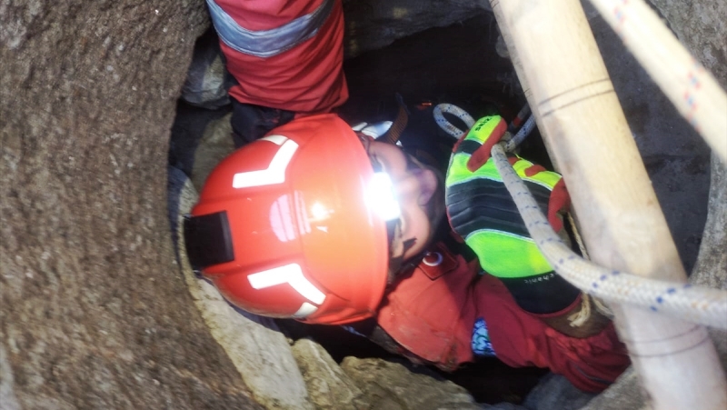 Bodrum’da kuyuya düşen kedi yavrusu kurtarıldı