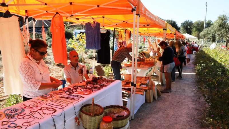 Etrim Tarım Kampında Cumhuriyet Bayramına Özel Etkinlik