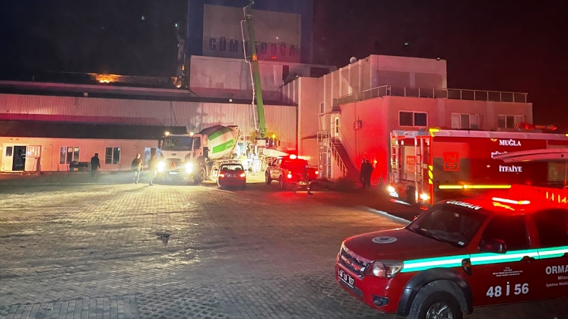 milas-yem-fabrikasi-yangin