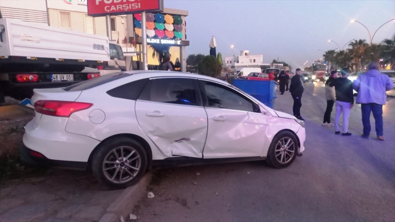 bodrum-trafik-kazasi-atlara-çarpti