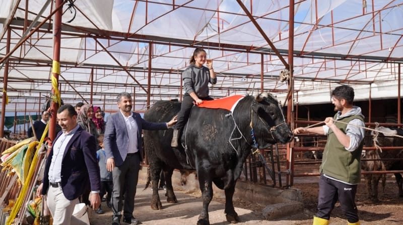 danadan-935-kg-et-cikti