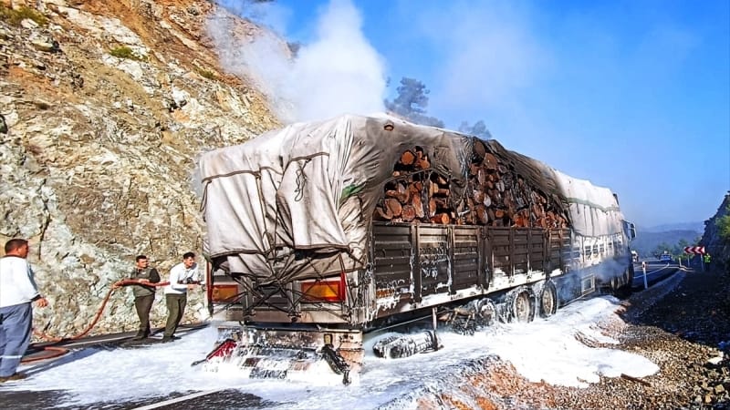 tomruk-yuklu-kamyon-yandi