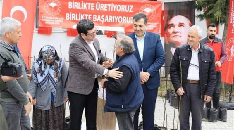 baris-saylak-dalaman-incir-fidani-dagitim-1