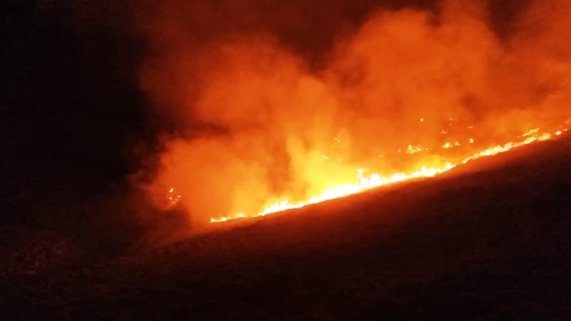 bodrum-makilik-yangin-2