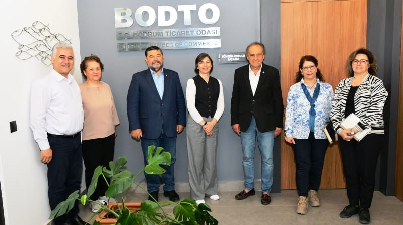 bodto-tse-denetim