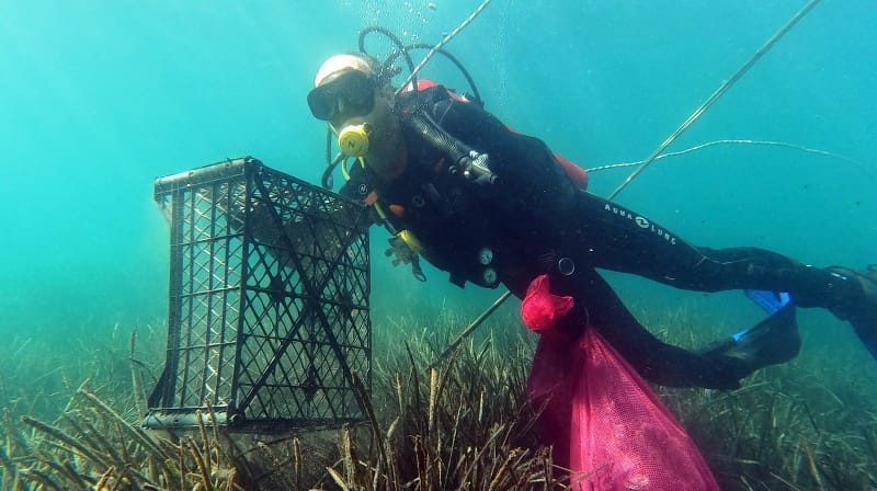 belediye_dalgiclari_gumuslukte_daldi_2