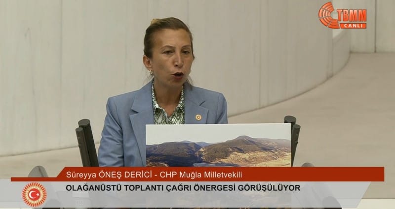 sureyya-ones-derici-tbmm-konusmasi