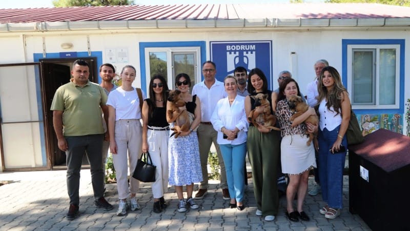belediye_sokak_hayvanlarini_sahiplendiriyor_1