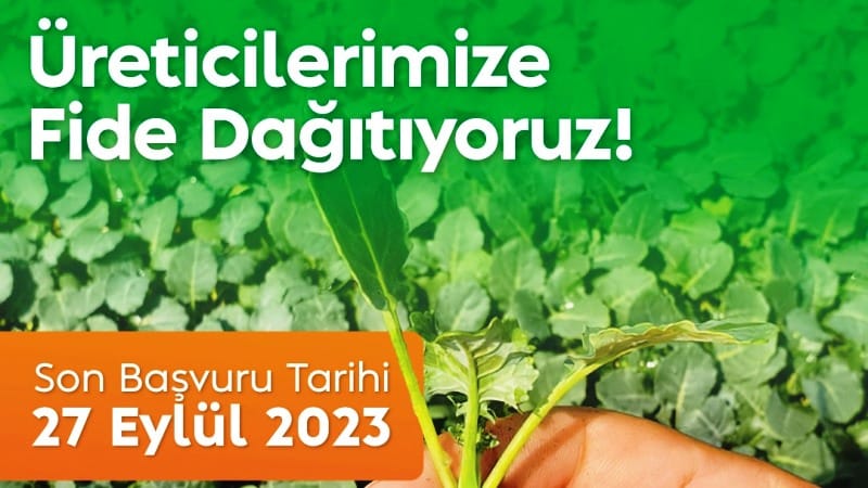 Bodrum Belediyesi’nden üreticiye ücretsiz fide..