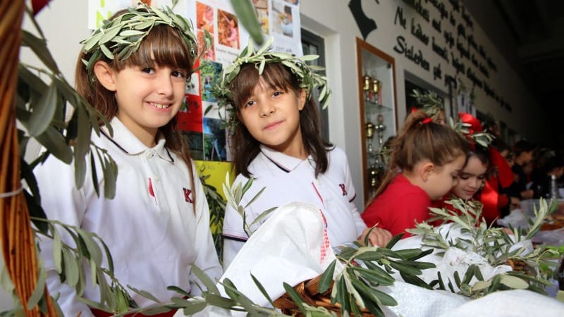 ted-bodrum-zeytifestivali-3