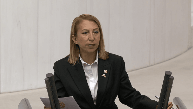 sureyya-ones-derici-1