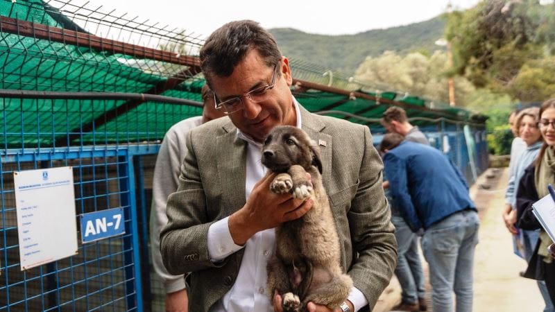 mehmet-tosun-barinak-1