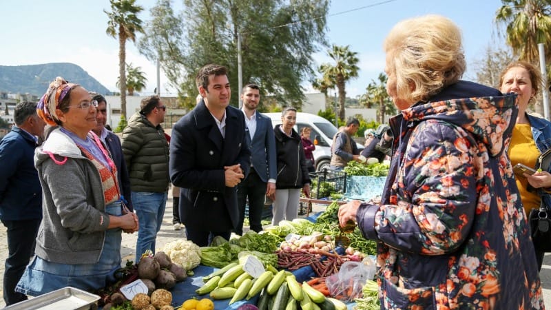 tamer mandalinci 2 4