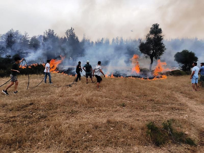 Muğla Büyükşehir Belediyesi’nden Anız Yangınlarına Karşı Uyarı (3)