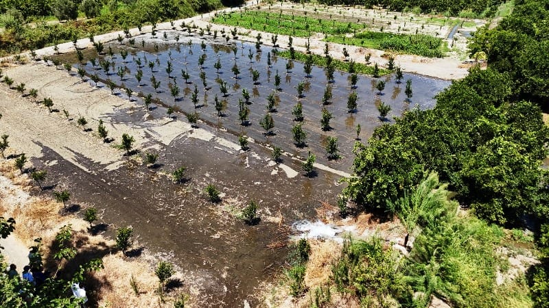 Büyükşehir Tarımsal Sulamada Üreticinin yanında…