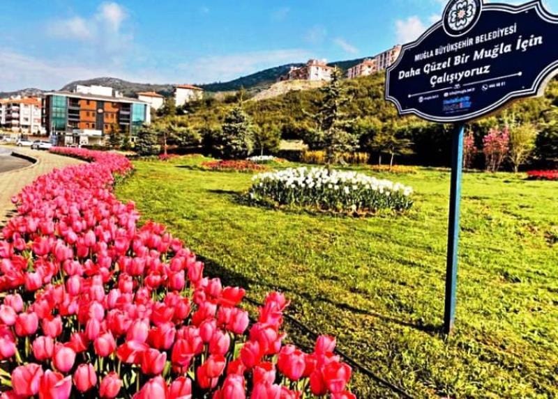 Büyükşehir’den Muğla’ya 59 Futbol Sahası Büyüklüğünde Yeşil Alan…