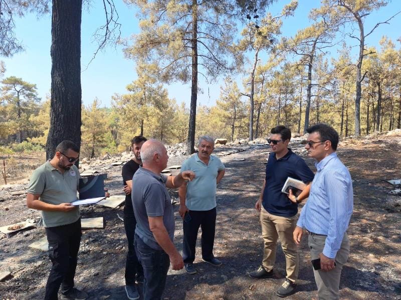 Büyükşehir Yangından Etkilenen Arıcılara Destek Olacak (1)
