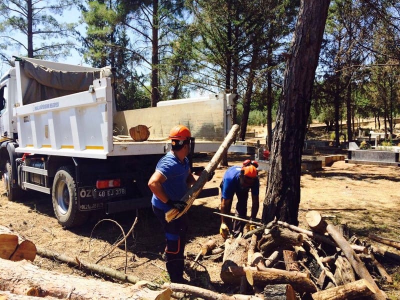 1.740 Aileye 17 Bin 400 Çuval Odun Dağıtıldı…