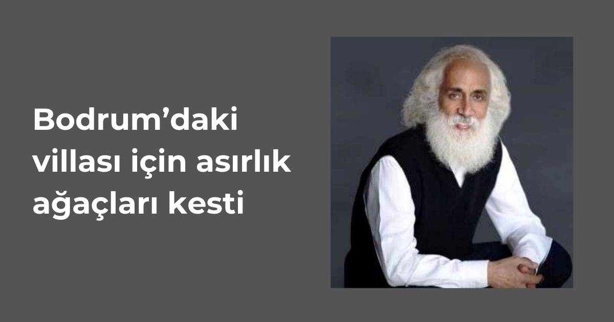 suavi-villasi-icin-agaclari-kesti