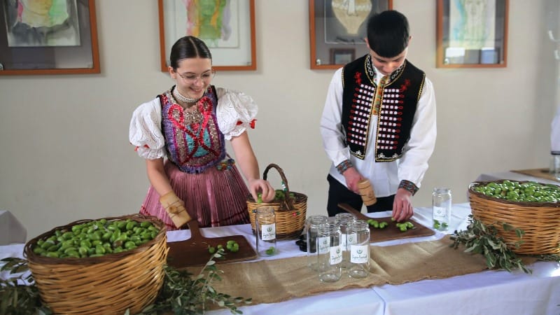 TED Bodrum Koleji 8. Uluslararası Zeytin Festivalini Gerçekleştirdi
