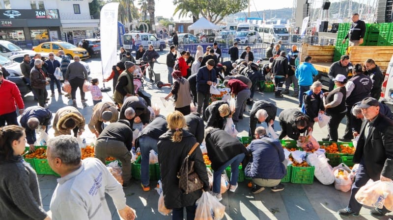 Belediye Meydanında Mandalina Dağıtımı 1