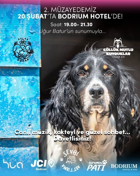 WhatsApp Görsel 2025-02-19 saat 22.14.03_6acf2f8a