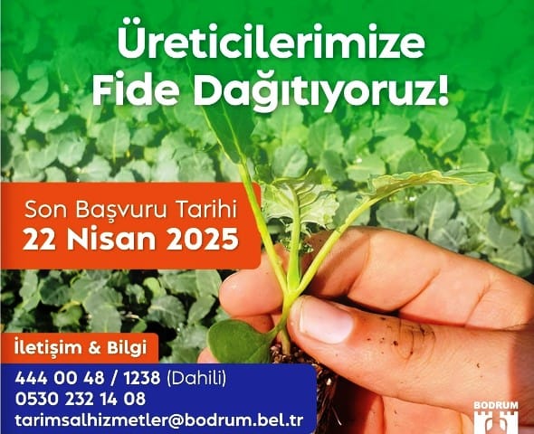 Belediyeden Çiftçiye Yazlık Fide Desteği…