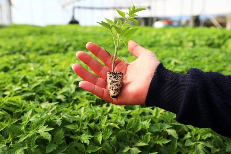 250 Bin Fide Üreticiyle Buluştu…