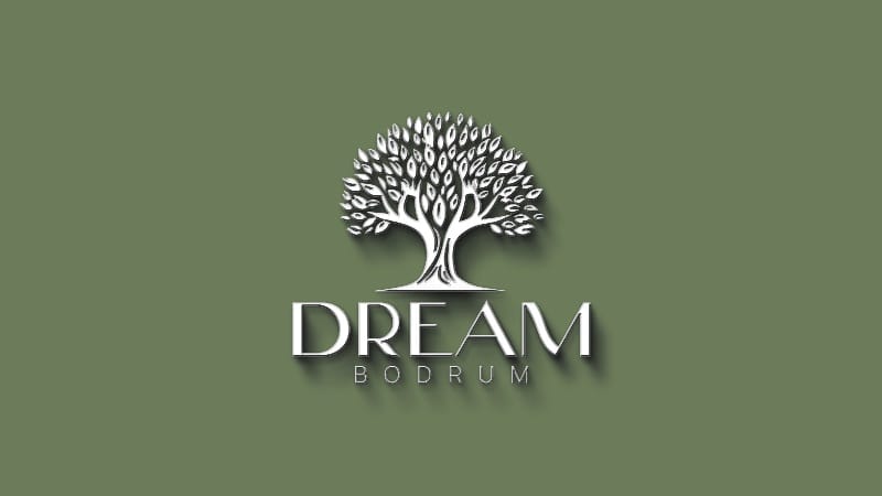 dreambodrum-cover