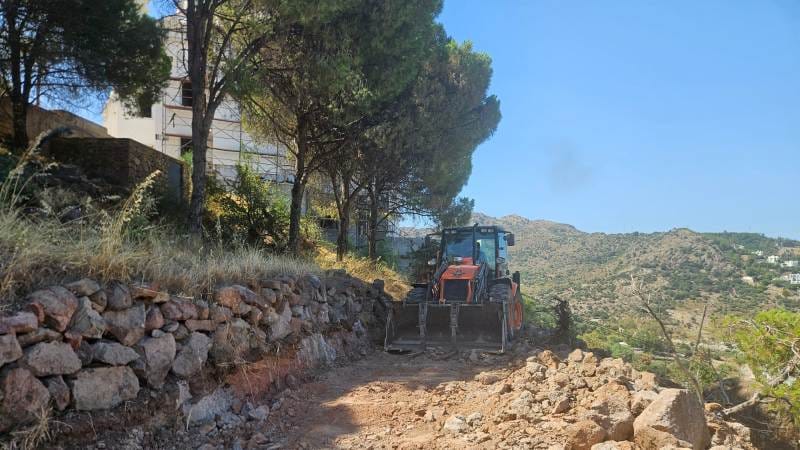 Külliye’ye Yol Açmak İçin Yapılan İzinsiz Ağaç Kesimi Tepkilere Neden Oldu