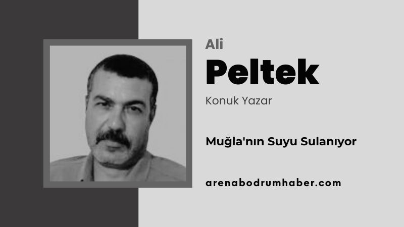 ali-peltek-arena-haber