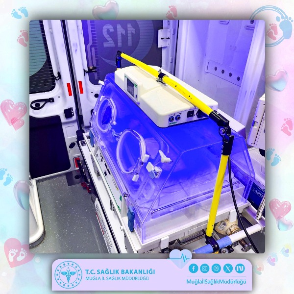 Hayata En Hassas Dokunuş